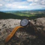 Why numbered edition watch colors Are the Secret Weapon of Discerning Collectors