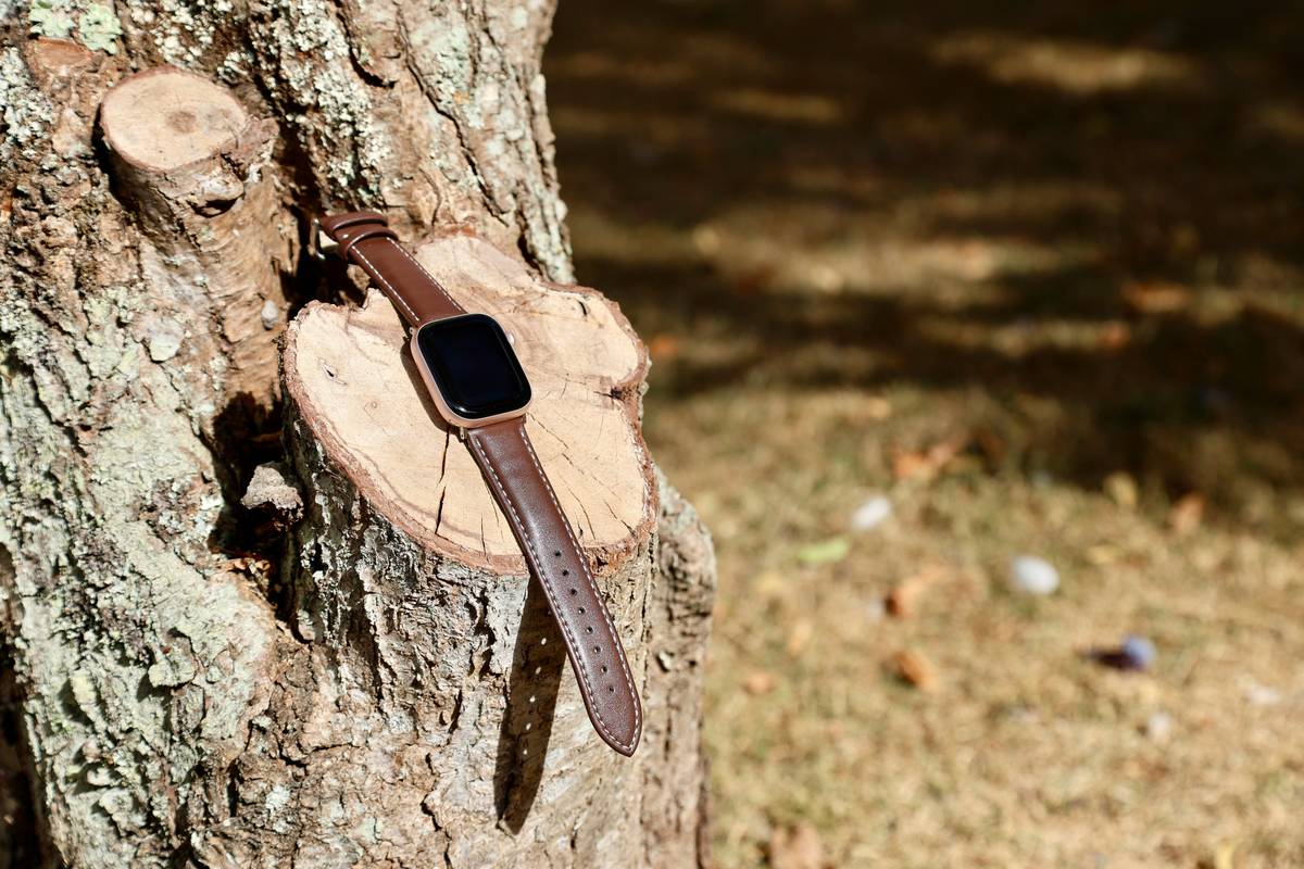 Autumn Watch Colors: 7 Proven Ways to Avoid Costly Style Mistakes